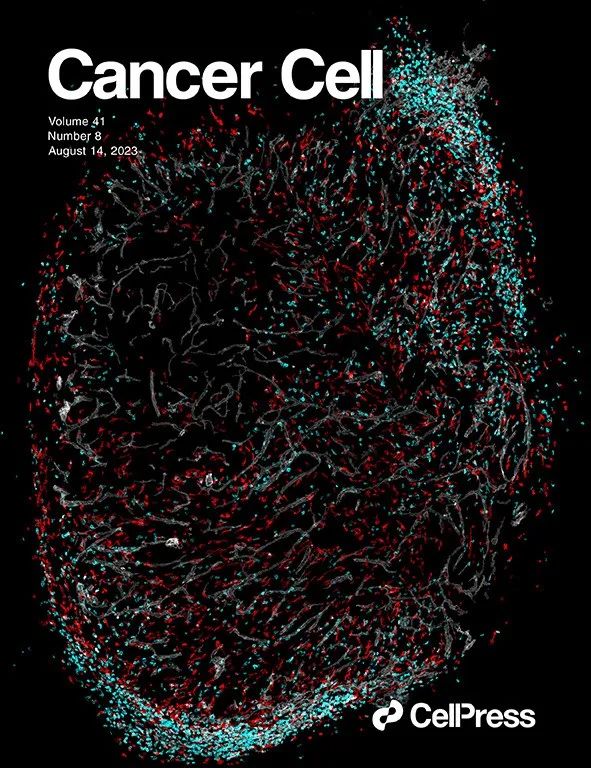 Cancer Cell cover, v41 i8 2023