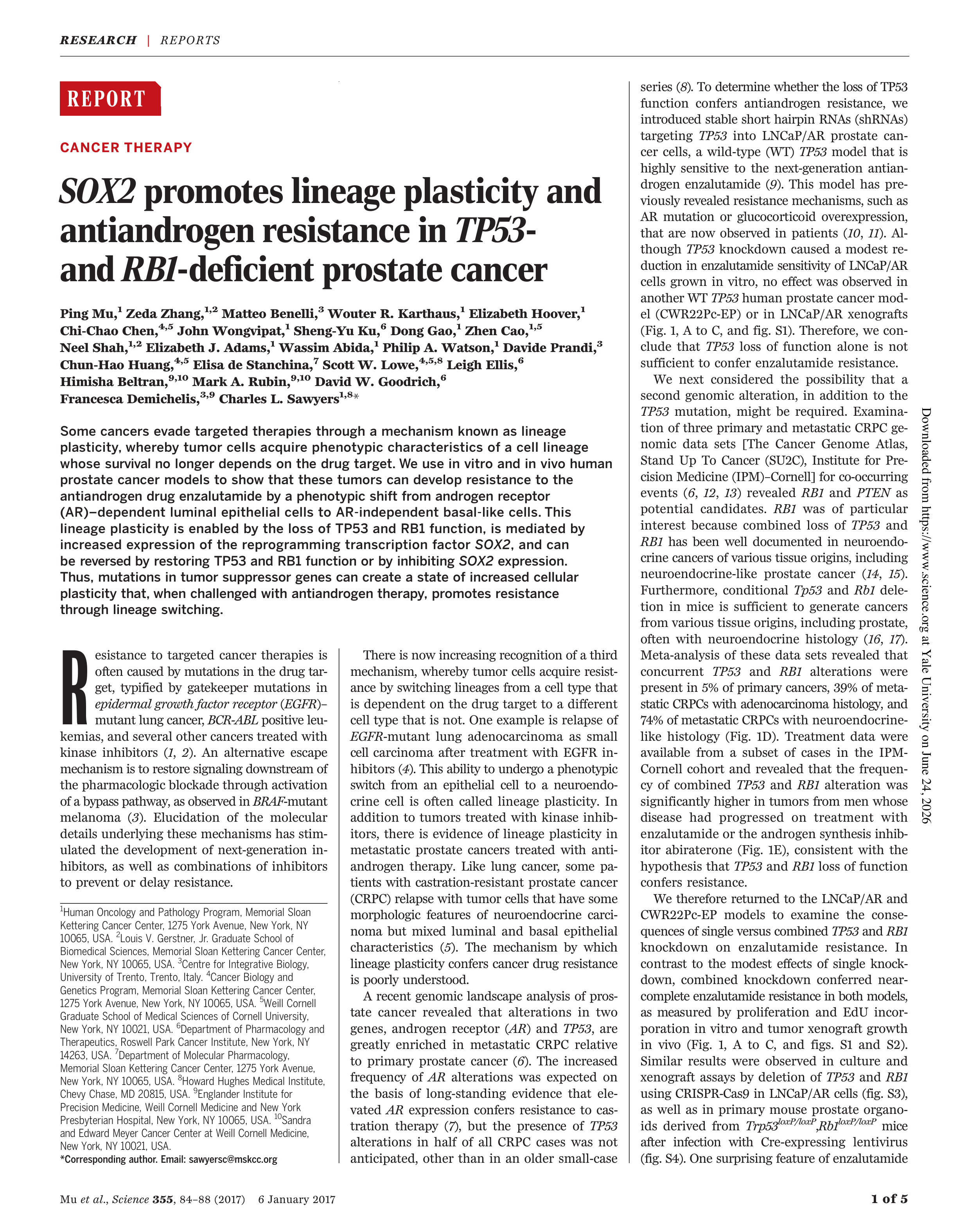 Paper first page