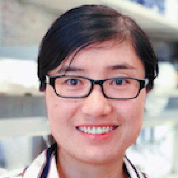 Chuanli Zhou
